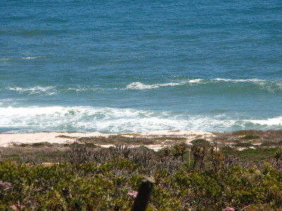 view of the Ocean from Pearl Bay Heights